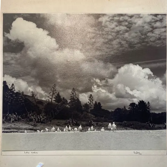 Reg P Bell 'Lotus Eaters', NZ, 1950, photographic print, 242 x 286mm